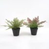 Artificial Plant Fern in pp pot GS-59121006 Potted Flowers&Plants YeahFlower is one of Chinese leading OEM manufacturers and exporters , supplying the silk flowers, wholesale artificial trees