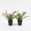 Artificial Plant Fern in pp pot GS-59121011 Potted Flowers&Plants YeahFlower is one of Chinese leading OEM manufacturers and exporters , supplying the silk flowers, wholesale artificial trees