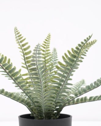 Artificial Plant Fern in pp pot GS-59121013 Potted Flowers&Plants YeahFlower is one of Chinese leading OEM manufacturers and exporters , supplying the silk flowers, wholesale artificial trees