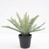 Artificial Plant Fern in pp pot GS-59121013 Potted Flowers&Plants YeahFlower is one of Chinese leading OEM manufacturers and exporters , supplying the silk flowers, wholesale artificial trees