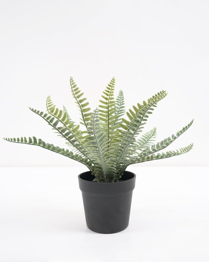Artificial Plant Fern in pp pot GS-59121013 Potted Flowers&Plants YeahFlower is one of Chinese leading OEM manufacturers and exporters , supplying the silk flowers, wholesale artificial trees