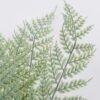 Artificial Plant 40*52cm Fern leaves*18 GS-62021037-H1 Leaves&Sprays&Foliages YeahFlower is one of Chinese leading OEM manufacturers and exporters , supplying the silk flowers, wholesale artificial trees