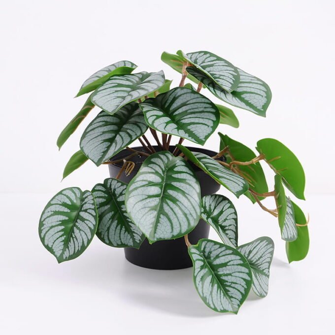 Artificial Plant 22*20*18cm GS-03321005 Potted Flowers&Plants YeahFlower is one of Chinese leading OEM manufacturers and exporters , supplying the silk flowers, wholesale artificial trees