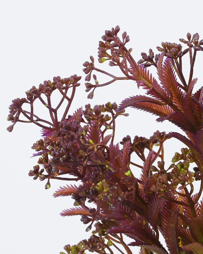 Artificial Plant 22*35cm Grass bush*7 GS-62021020-Z1 Leaves&Sprays&Foliages YeahFlower is one of Chinese leading OEM manufacturers and exporters , supplying the silk flowers, wholesale artificial trees