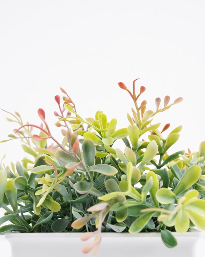 Artificial Plant 21*21*16cm Grass in pp pot GS-51721058 Potted Flowers&Plants YeahFlower is one of Chinese leading OEM manufacturers and exporters , supplying the silk flowers, wholesale artificial trees