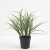 Artificial Plant Grass in pp pot GS-59121004 Potted Flowers&Plants YeahFlower is one of Chinese leading OEM manufacturers and exporters , supplying the silk flowers, wholesale artificial trees