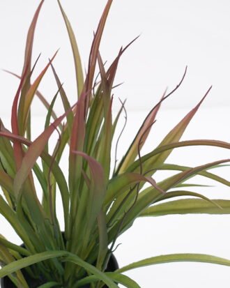 Artificial Plant Grass in pp pot GS-59121012 Potted Flowers&Plants YeahFlower is one of Chinese leading OEM manufacturers and exporters , supplying the silk flowers, wholesale artificial trees