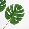 Artificial-Plant-Leaf-x3-GS-36021001_3-1.jpg Artificial Plant 24*71CM Leaf x3 GS-36021001 Leaves&Sprays&Foliages YeahFlower is one of Chinese leading OEM manufacturers and exporters , supplying the silk flowers, wholesale artificial trees