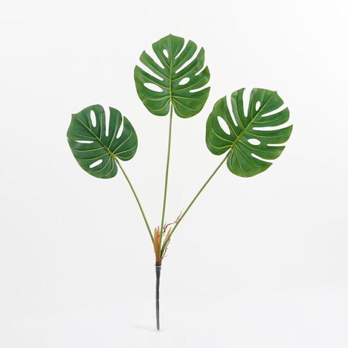 Artificial-Plant-Leaf-x3-GS-36021001_9-1.jpg Artificial Plant 24*71CM Leaf x3 GS-36021001 Leaves&Sprays&Foliages YeahFlower is one of Chinese leading OEM manufacturers and exporters , supplying the silk flowers, wholesale artificial trees