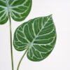 Artificial-Plant-Leaf-x3-GS-36021002_6-1.jpg Artificial Plant 34*71CM Leaf x3 GS-36021002 Leaves&Sprays&Foliages YeahFlower is one of Chinese leading OEM manufacturers and exporters , supplying the silk flowers, wholesale artificial trees