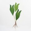 Artificial Plant 23*67CM Leaf x3 GS-36021004 Leaves&Sprays&Foliages YeahFlower is one of Chinese leading OEM manufacturers and exporters , supplying the silk flowers, wholesale artificial trees
