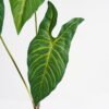 Artificial Plant 23*67CM Leaf x3 GS-36021004 Leaves&Sprays&Foliages YeahFlower is one of Chinese leading OEM manufacturers and exporters , supplying the silk flowers, wholesale artificial trees