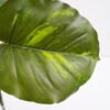 Artificial Plant 37*50CM Leaves bush GS-23121005 Leaves&Sprays&Foliages YeahFlower is one of Chinese leading OEM manufacturers and exporters , supplying the silk flowers, wholesale artificial trees