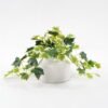 Artificial Plant 23*15*16cm Mini Ivy in ceramic pot GS-03321028-KSM Potted Flowers&Plants YeahFlower is one of Chinese leading OEM manufacturers and exporters , supplying the silk flowers, wholesale artificial trees