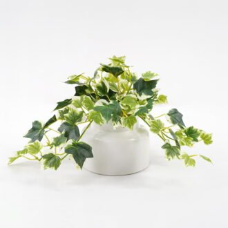 Artificial Plant 23*15*16cm Mini Ivy in ceramic pot GS-03321028-KSM Potted Flowers&Plants YeahFlower is one of Chinese leading OEM manufacturers and exporters , supplying the silk flowers, wholesale artificial trees