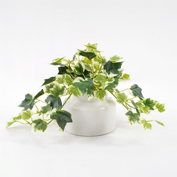 Artificial Plant 23*15*16cm Mini Ivy in ceramic pot GS-03321028-KSM Potted Flowers&Plants YeahFlower is one of Chinese leading OEM manufacturers and exporters , supplying the silk flowers, wholesale artificial trees