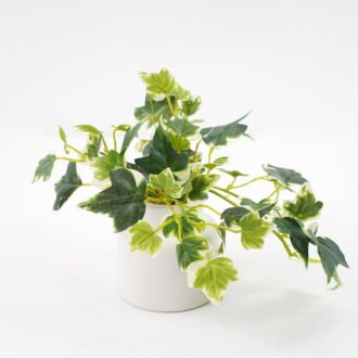 Artificial Plant 19*15*15cm Mini Ivy in ceramic pot GS-03321029-KSM Potted Flowers&Plants YeahFlower is one of Chinese leading OEM manufacturers and exporters , supplying the silk flowers, wholesale artificial trees