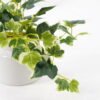 Artificial Plant 19*15*15cm Mini Ivy in ceramic pot GS-03321029-KSM Potted Flowers&Plants YeahFlower is one of Chinese leading OEM manufacturers and exporters , supplying the silk flowers, wholesale artificial trees