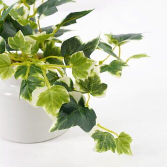 Artificial Plant 19*15*15cm Mini Ivy in ceramic pot GS-03321029-KSM Potted Flowers&Plants YeahFlower is one of Chinese leading OEM manufacturers and exporters , supplying the silk flowers, wholesale artificial trees