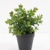 Artificial Plant Mint in pp pot GS-59121017 Potted Flowers&Plants YeahFlower is one of Chinese leading OEM manufacturers and exporters , supplying the silk flowers, wholesale artificial trees