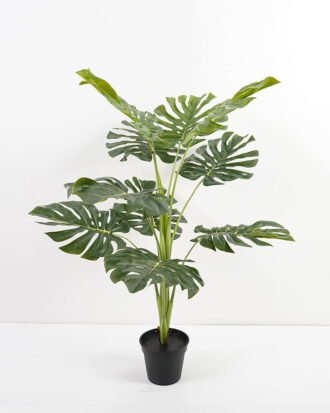 Artificial Plant 66*74CM  Monstera Leaves in Plastic pot GF-26621002 Tree&Plant YeahFlower is one of Chinese leading OEM manufacturers and exporters , supplying the silk flowers, wholesale artificial trees