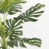 Artificial Plant 66*74CM  Monstera Leaves in Plastic pot GF-26621002 Tree&Plant 3,000+ sqm showroom with thousands of artificial flowers, plants & trees ready for global sourcing.