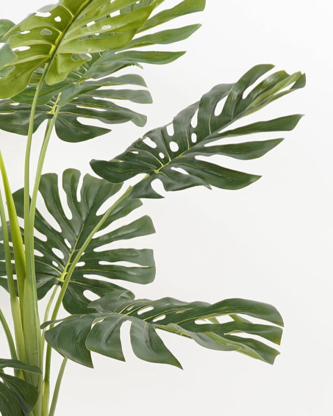 Artificial Plant 66*74CM  Monstera Leaves in Plastic pot GF-26621002 Tree&Plant 3,000+ sqm showroom with thousands of artificial flowers, plants & trees ready for global sourcing.