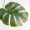 Artificial Plant 37*50CM Monstera bush GS-23121003 Leaves&Sprays&Foliages YeahFlower is one of Chinese leading OEM manufacturers and exporters , supplying the silk flowers, wholesale artificial trees