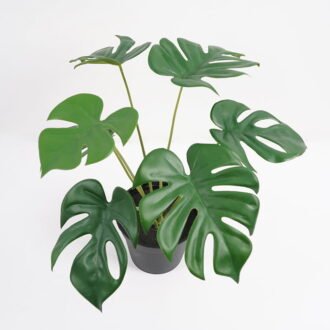 Artificial Plant 34*32*35cm Monstera in PP pot GS-03321021P0P12 Potted Flowers&Plants YeahFlower is one of Chinese leading OEM manufacturers and exporters , supplying the silk flowers, wholesale artificial trees