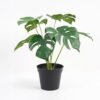 Artificial Plant 34*32*35cm Monstera in PP pot GS-03321021P0P12 Potted Flowers&Plants YeahFlower is one of Chinese leading OEM manufacturers and exporters , supplying the silk flowers, wholesale artificial trees