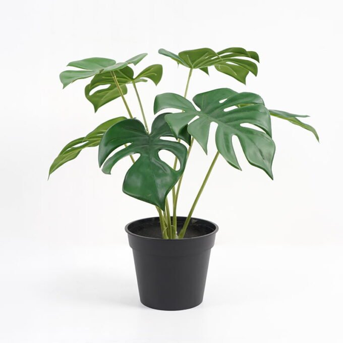 Artificial Plant 34*32*35cm Monstera in PP pot GS-03321021P0P12 Potted Flowers&Plants YeahFlower is one of Chinese leading OEM manufacturers and exporters , supplying the silk flowers, wholesale artificial trees