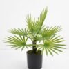 Artificial Plant 37*37*46cm Palm tree in pp pot GS-51721055 Potted Flowers&Plants 3,000+ sqm showroom with thousands of artificial flowers, plants & trees ready for global sourcing.