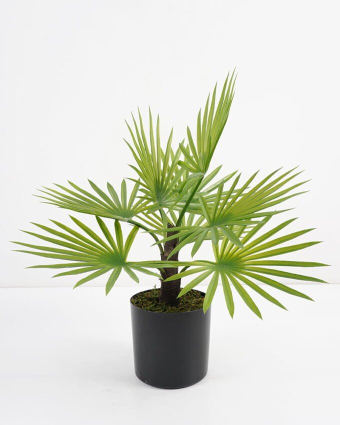 Artificial Plant 37*37*46cm Palm tree in pp pot GS-51721055 Potted Flowers&Plants 3,000+ sqm showroom with thousands of artificial flowers, plants & trees ready for global sourcing.