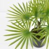 Artificial Plant 37*37*46cm Palm tree in pp pot GS-51721055 Potted Flowers&Plants 3,000+ sqm showroom with thousands of artificial flowers, plants & trees ready for global sourcing.