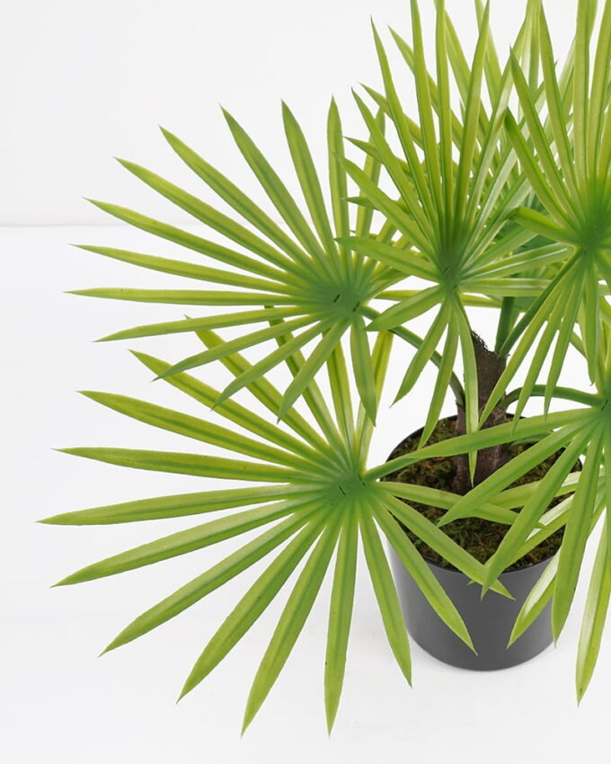 Artificial Plant 37*37*46cm Palm tree in pp pot GS-51721055 Potted Flowers&Plants 3,000+ sqm showroom with thousands of artificial flowers, plants & trees ready for global sourcing.