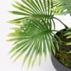 Artificial Plant 33*33*45cm Palm tree in pp pot GS-51721061 Potted Flowers&Plants YeahFlower is one of Chinese leading OEM manufacturers and exporters , supplying the silk flowers, wholesale artificial trees