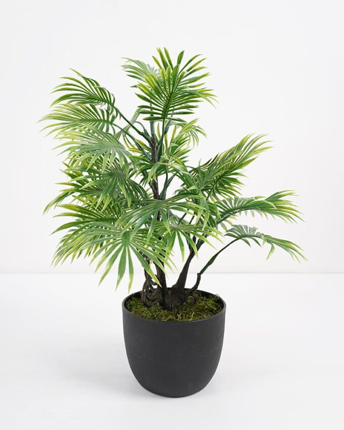 Artificial Plant 33*33*45cm Palm tree in pp pot GS-51721061 Potted Flowers&Plants YeahFlower is one of Chinese leading OEM manufacturers and exporters , supplying the silk flowers, wholesale artificial trees