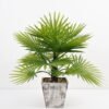 Artificial Plant 45*45*60cm Palm tree in  wood pot GS-51721053 Potted Flowers&Plants 3,000+ sqm showroom with thousands of artificial flowers, plants & trees ready for global sourcing.