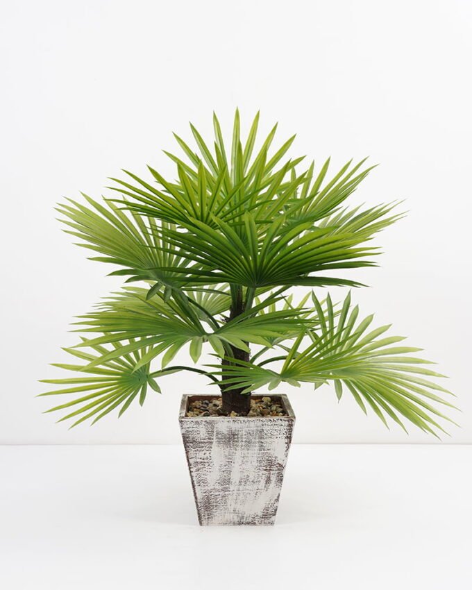 Artificial Plant 45*45*60cm Palm tree in  wood pot GS-51721053 Potted Flowers&Plants 3,000+ sqm showroom with thousands of artificial flowers, plants & trees ready for global sourcing.