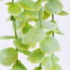 Artificial Plant 17*76cm Plastic vine*5 GS-62021005-G2 Banners&Garlands 3,000+ sqm showroom with thousands of artificial flowers, plants & trees ready for global sourcing.