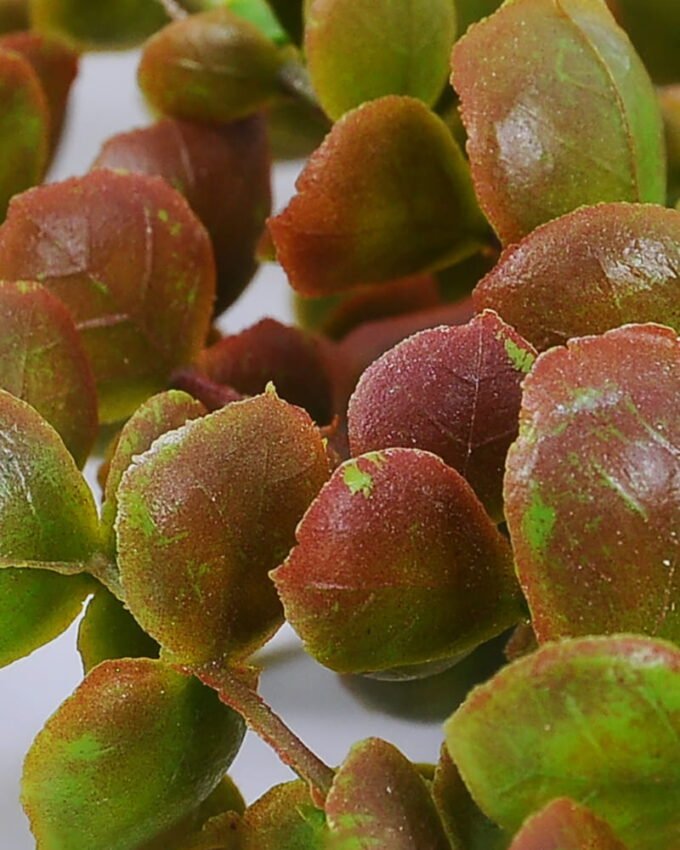 Artificial Plant 17*76cm Plastic vine*5 GS-62021005-R1 Banners&Garlands YeahFlower is one of Chinese leading OEM manufacturers and exporters , supplying the silk flowers, wholesale artificial trees