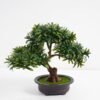 Artificial Plant Podocarpus macrophyllus in pp pot GS-05521016_3 Artificial Plant 33*16*28CM Podocarpus macrophyllus in pp pot GS-05521016 Potted Flowers&Plants YeahFlower is one of Chinese leading OEM manufacturers and exporters , supplying the silk flowers, wholesale artificial trees