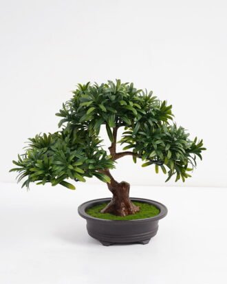 Artificial Plant 33*16*28CM Podocarpus macrophyllus in pp pot GS-05521016 Potted Flowers&Plants YeahFlower is one of Chinese leading OEM manufacturers and exporters , supplying the silk flowers, wholesale artificial trees