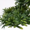 Artificial Plant Podocarpus macrophyllus in pp pot GS-05521016_7 Artificial Plant 33*16*28CM Podocarpus macrophyllus in pp pot GS-05521016 Potted Flowers&Plants YeahFlower is one of Chinese leading OEM manufacturers and exporters , supplying the silk flowers, wholesale artificial trees