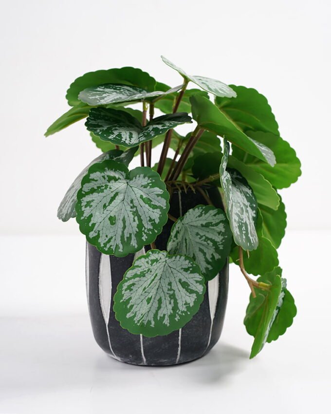 Artificial Plant 20*17*21cm Real Touch Begonia leaf in Cement pot GS-03321069 Potted Flowers&Plants 3,000+ sqm showroom with thousands of artificial flowers, plants & trees ready for global sourcing.