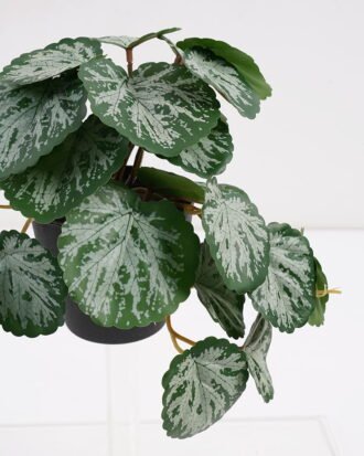 Artificial Plant 22*17*17cm Real Touch Begonia leaf in PP pot GS-03321063 Potted Flowers&Plants YeahFlower is one of Chinese leading OEM manufacturers and exporters , supplying the silk flowers, wholesale artificial trees