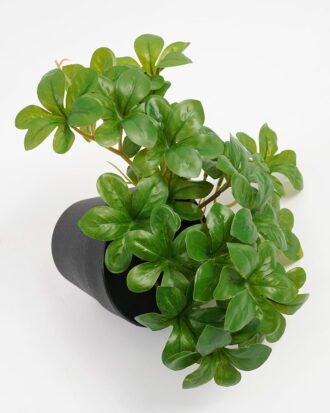 Artificial Plant 22*17*17cm Real Touch Green leaf in PP pot GS-03321064 Potted Flowers&Plants YeahFlower is one of Chinese leading OEM manufacturers and exporters , supplying the silk flowers, wholesale artificial trees