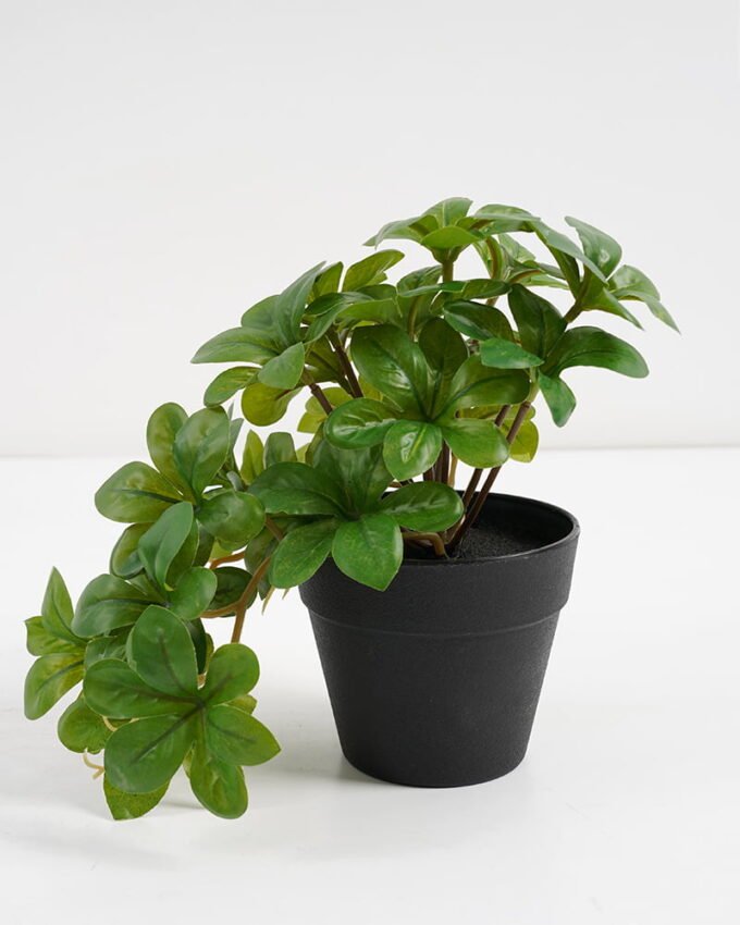 Artificial Plant 22*17*17cm Real Touch Green leaf in PP pot GS-03321064 Potted Flowers&Plants 3,000+ sqm showroom with thousands of artificial flowers, plants & trees ready for global sourcing.