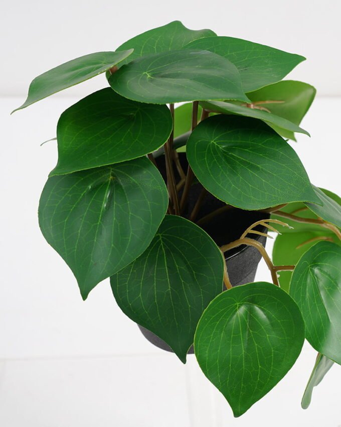 Artificial Plant 22*17*17cm Real Touch Green leaf in PP pot GS-03321065 Potted Flowers&Plants 3,000+ sqm showroom with thousands of artificial flowers, plants & trees ready for global sourcing.