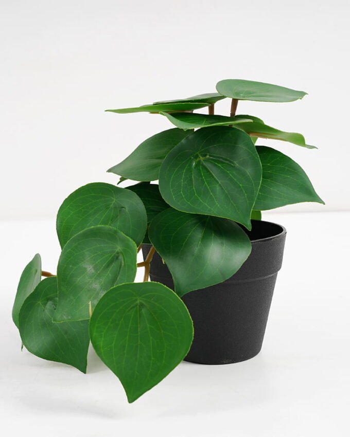 Artificial Plant 22*17*17cm Real Touch Green leaf in PP pot GS-03321065 Potted Flowers&Plants 3,000+ sqm showroom with thousands of artificial flowers, plants & trees ready for global sourcing.
